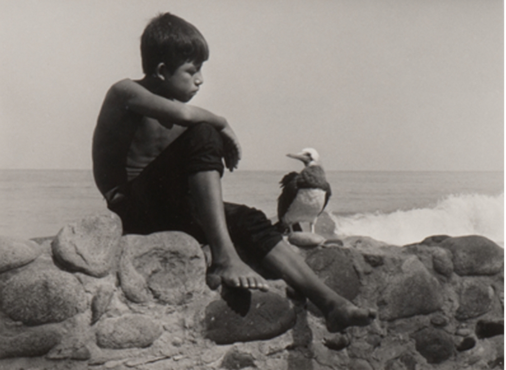 First Friday: Gallery Talk with the Curator, Katherine Ware